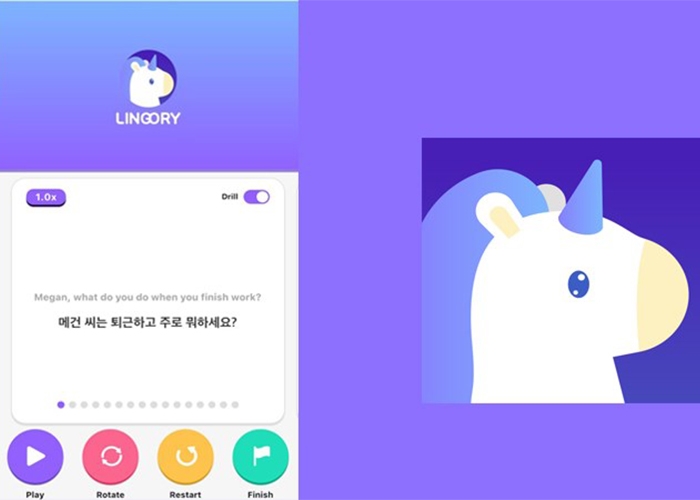 Game học tiếng Hàn Lingory