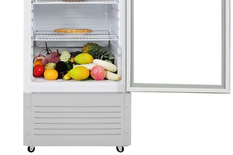 Những ưu điểm của tủ mát Hòa Phát 6