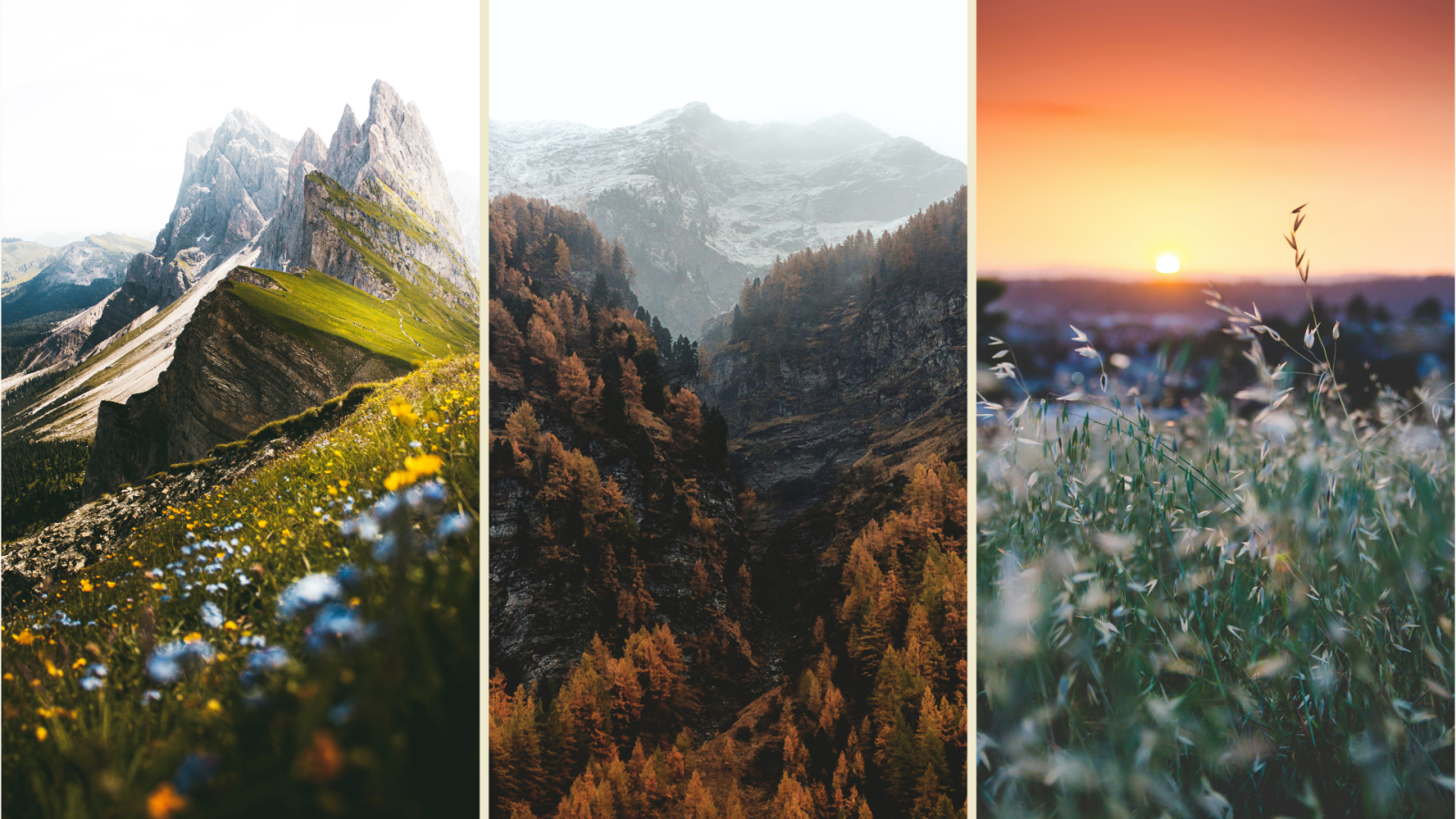 Cảnh Đẹp Thiên Nhiên