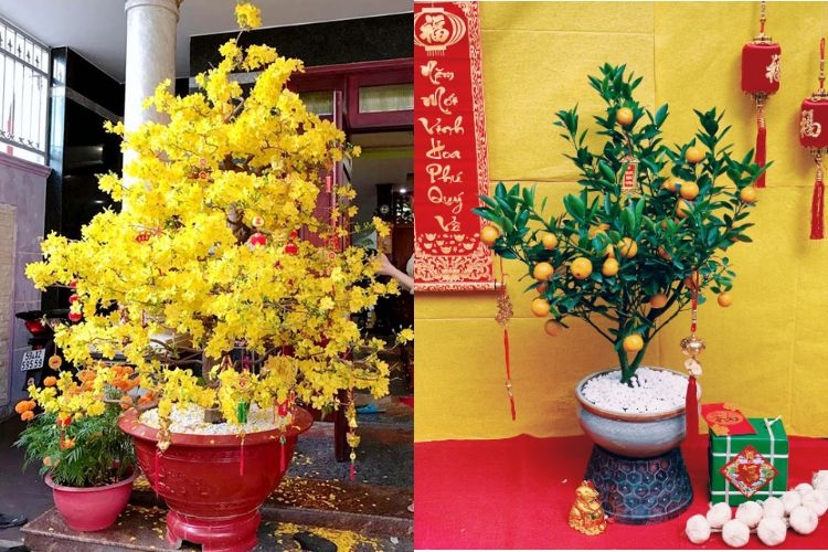 trang trí tết bằng hoa