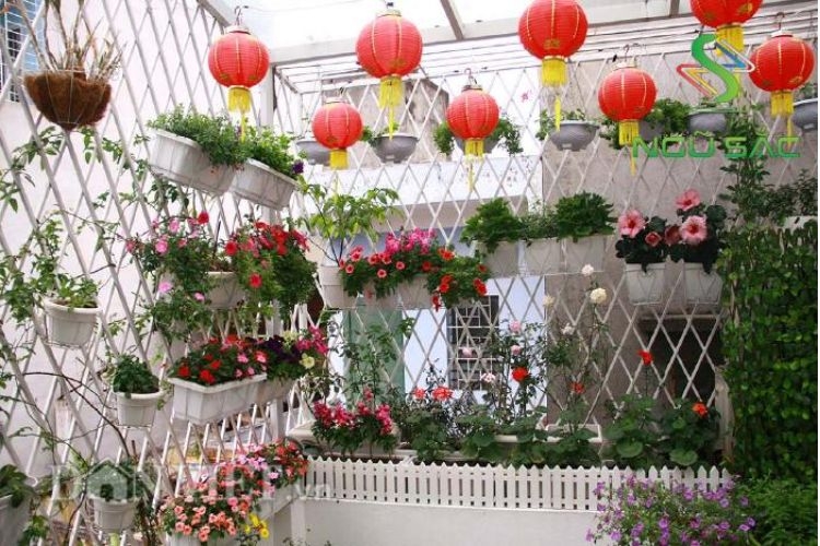 trang trí tết ngoài sân vườn