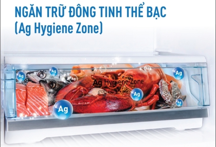 Có nên mua tủ lạnh Panasonic TL-VG hình 3