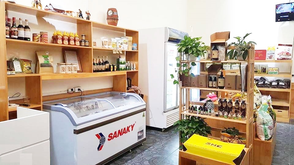 cách sử dụng tủ đông Sanaky 2