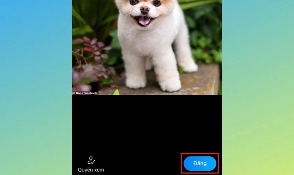 Nhấn chọn “Đăng”