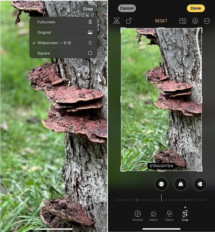 Cắt ảnh và video trên iPhone (4)