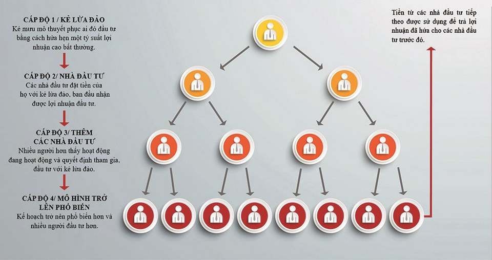 Tìm hiểu các vị trí trong mô hình