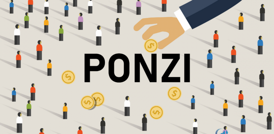 Những đặc điểm tiêu biểu của Ponzi