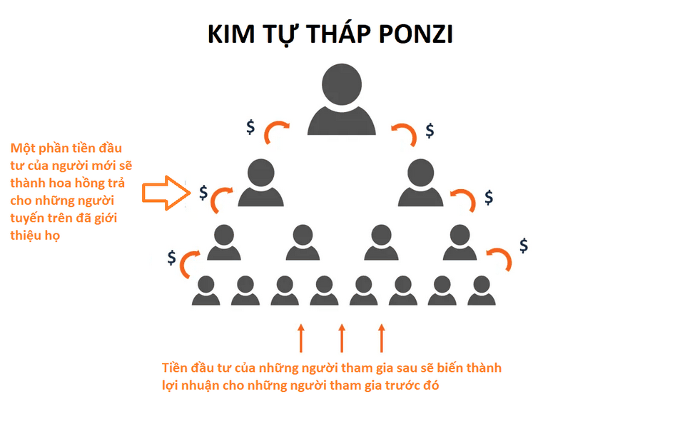 Căn cứ vào tính chất đa cấp cơ bản