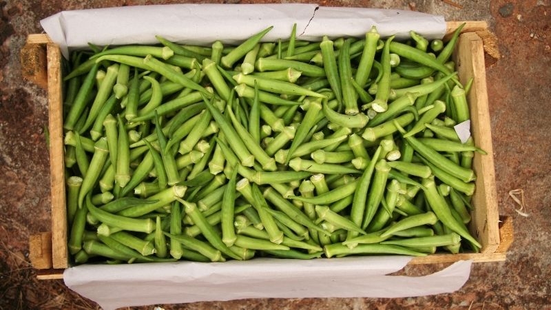 rau bao nhiều calo 2