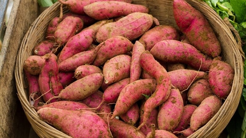 rau bao nhiều calo 3