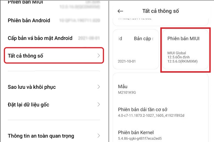 Chọn Tất cả thông số và nhấn Phiên bản MIUI