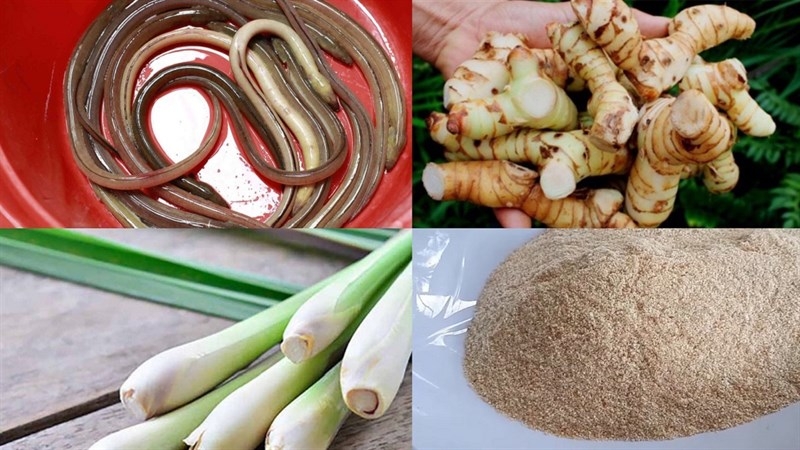 Nguyên liệu cần thiết trong món gỏi