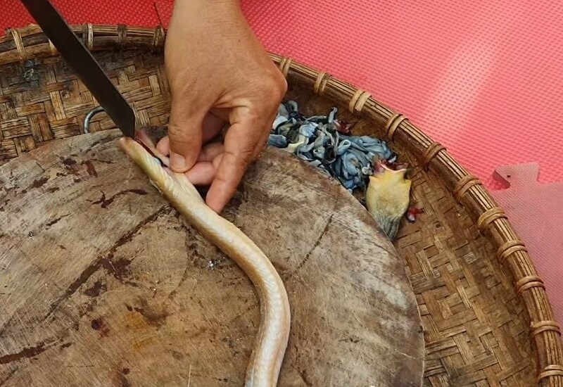 Bỏ ruột và đầu cá