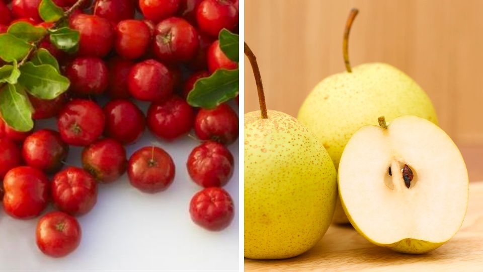 nước ép sơ ri và lê