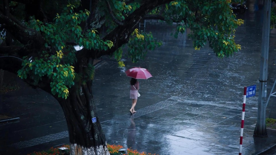 Bạn sẽ chụp những gì?