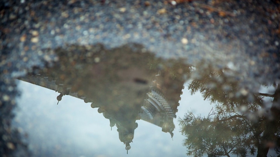 Chụp phản chiếu cảnh vật qua vũng nước