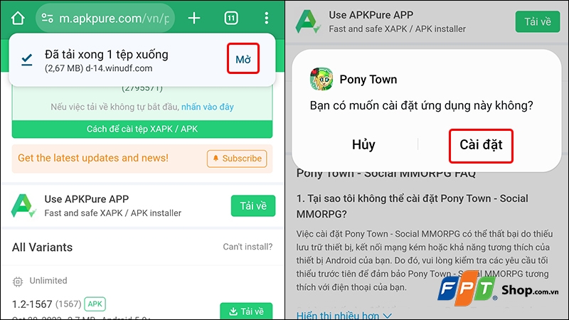 Pony Town là gì? - hình 12