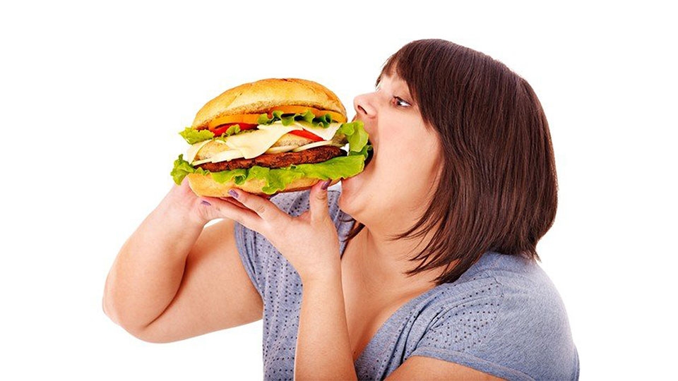 Ăn nhiều hamburger rất dễ gây ra tình trạng thừa cân