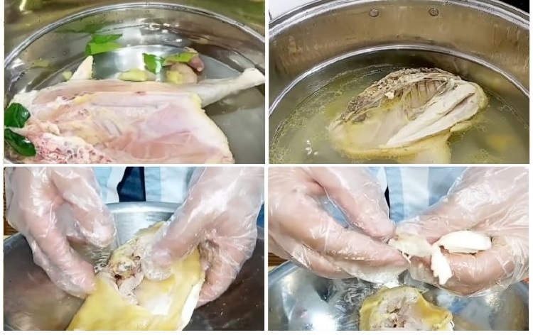 Shredded cooked chicken breast in a bowl