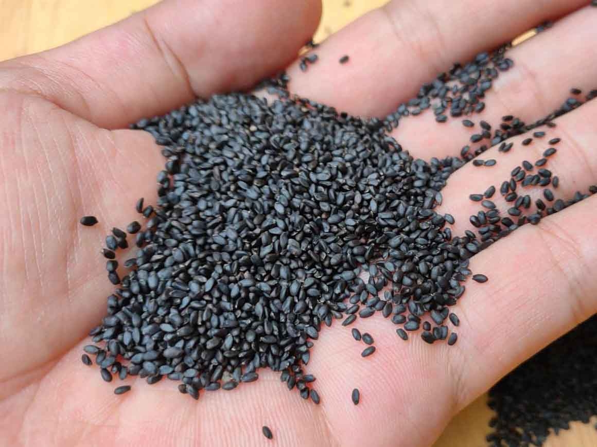 Đối tượng không nên sử dụng hạt é