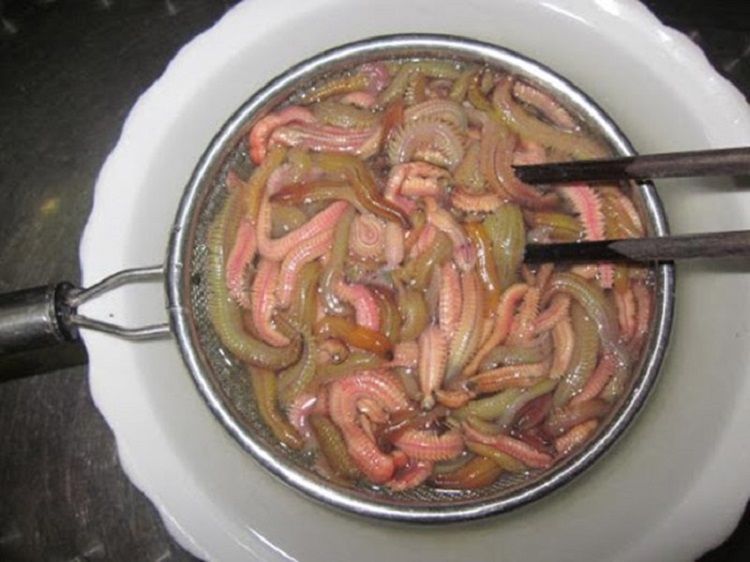 Vào bếp nấu canh rươi măng chua ngon 