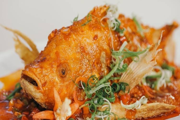 Tổng hợp 7 món cá diêu hồng chiên siêu ngon, siêu hấp dẫn, cực kỳ bắt cơm mà bạn nên thử (hình 7)