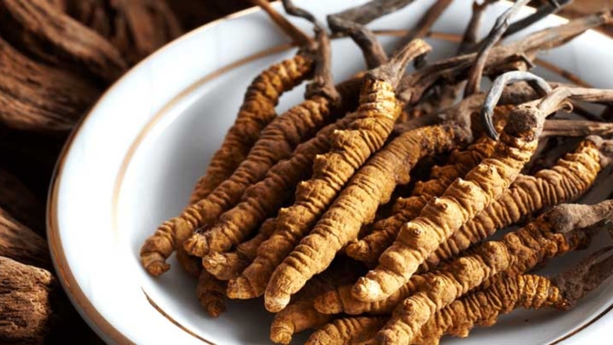 Rượu đông trùng hạ thảo có tác dụng gì cho sức khỏe? 1