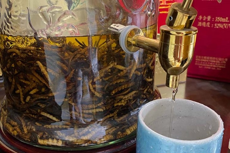 Rượu đông trùng hạ thảo có tác dụng gì cho sức khỏe? 96