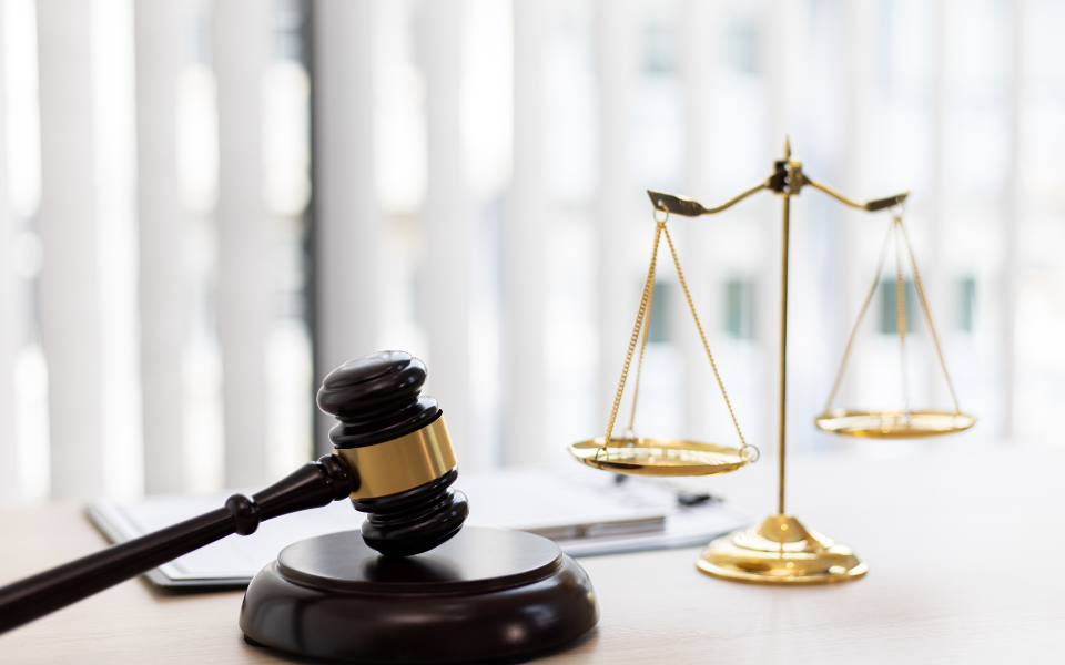 Nhiều học sinh chọn học ngành Luật khi theo khối xã hội