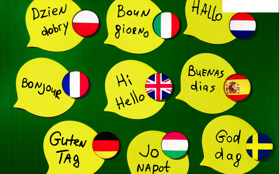 Ngôn ngữ cũng là ngành tiềm năng trong khối xã hội