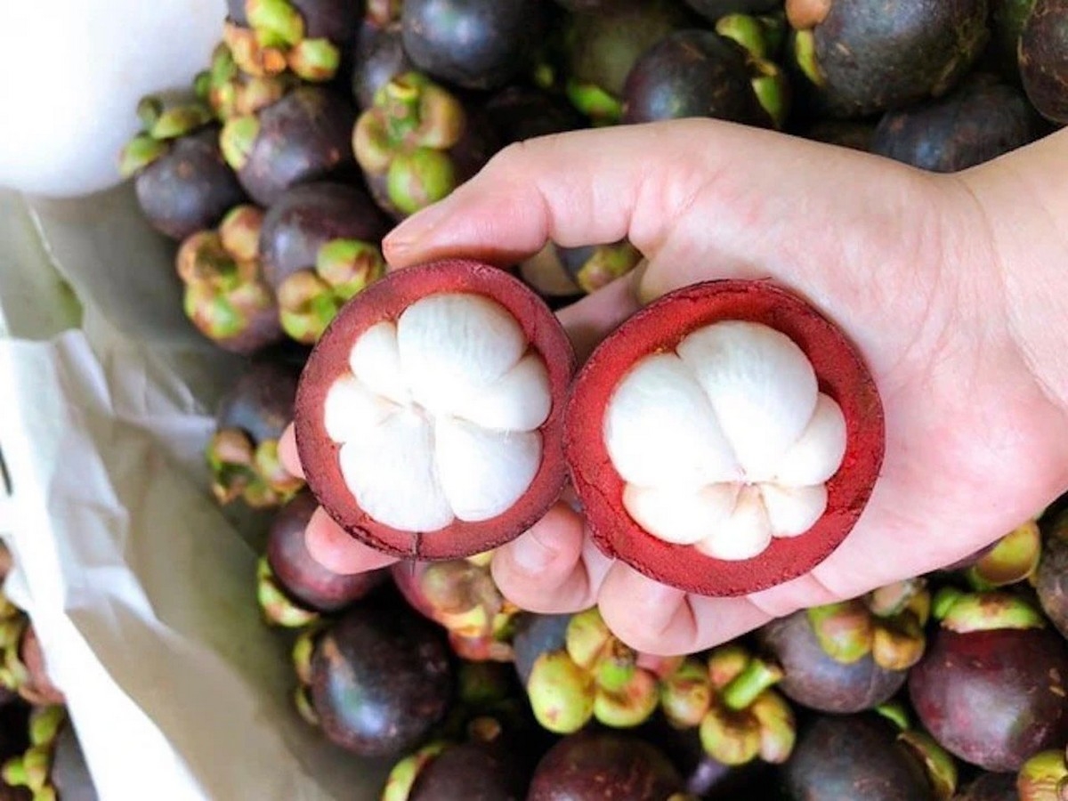 cách bảo quản măng cụt - hình 5