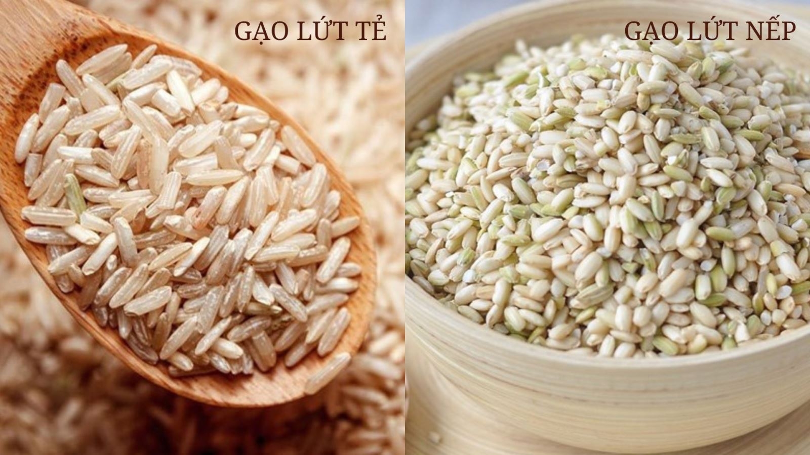 Gạo lứt là gì và có mấy loại gạo lứt? Tìm hiểu cách phân biệt gạo lứt và gạo lứt huyết rồng 3