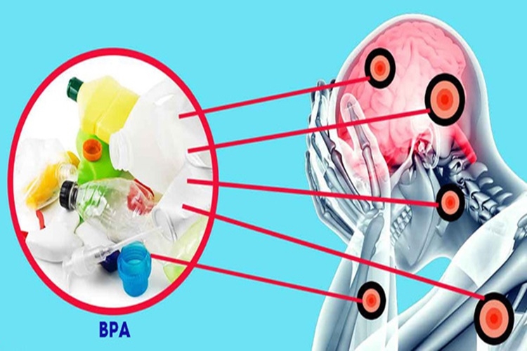 Nhựa BPA: Những tác hại khôn lường và các biện pháp bảo vệ sức khỏe khoa học 4