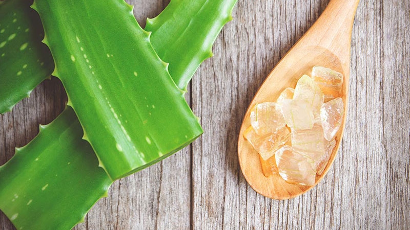 Xay và lọc nha đam