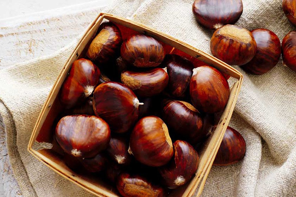 Cách bảo quản hạt dẻ tươi hiệu quả - Ảnh 03