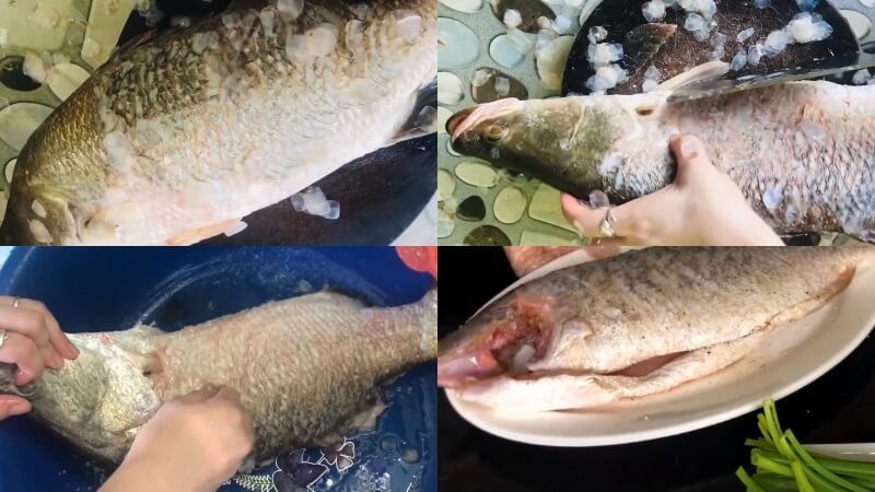 Bí quyết nấu món cá chẽm hấp hàng gừng ngon miệng thích hợp để đãi gia đình vào những ngày mưa Hình 3