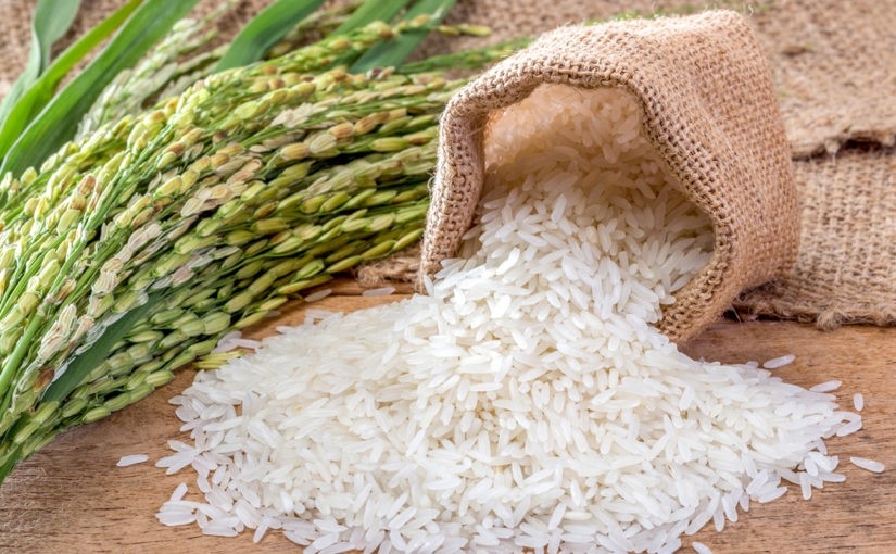 gạo hữu cơ 1