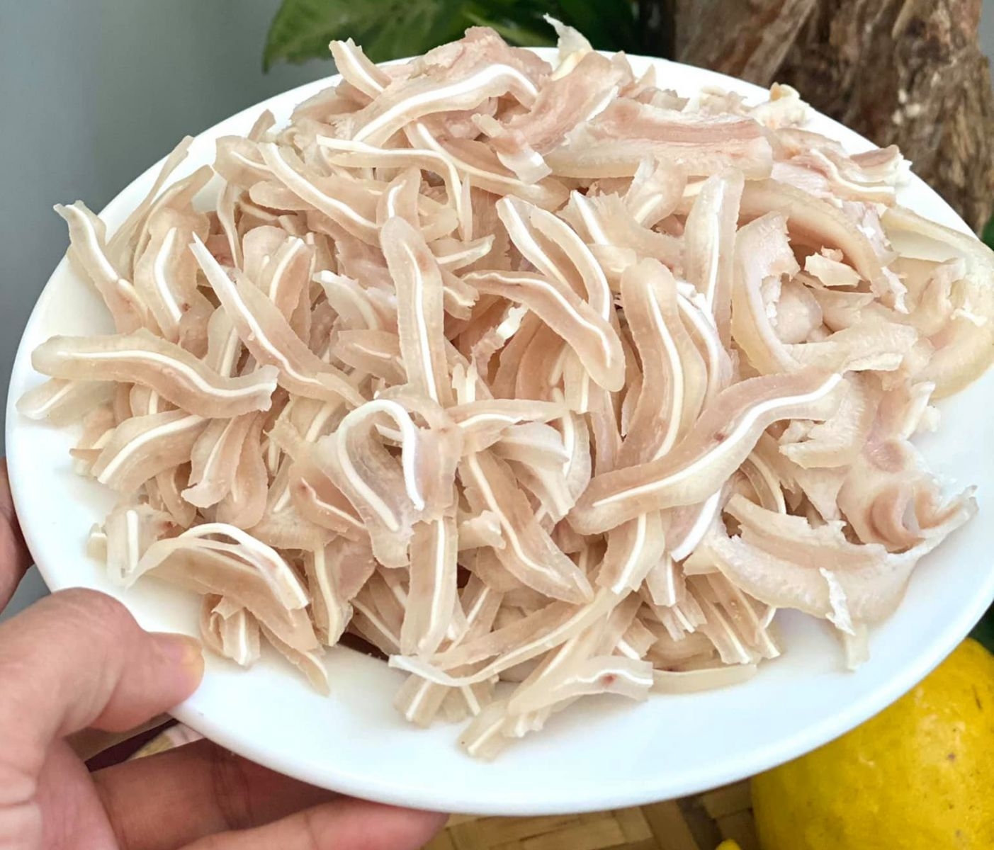 gỏi sứa - hình 14