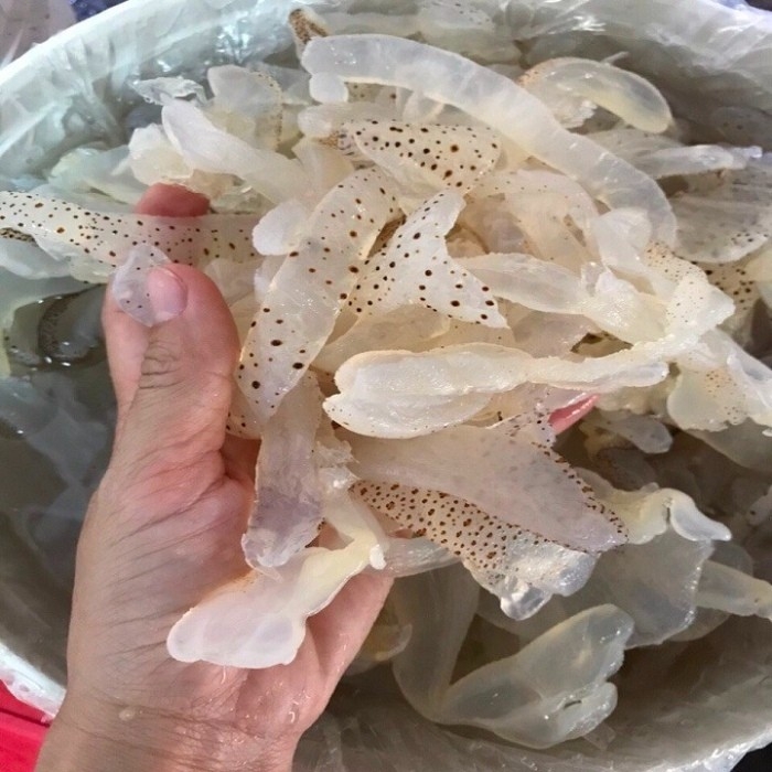 gỏi sứa - hình 4