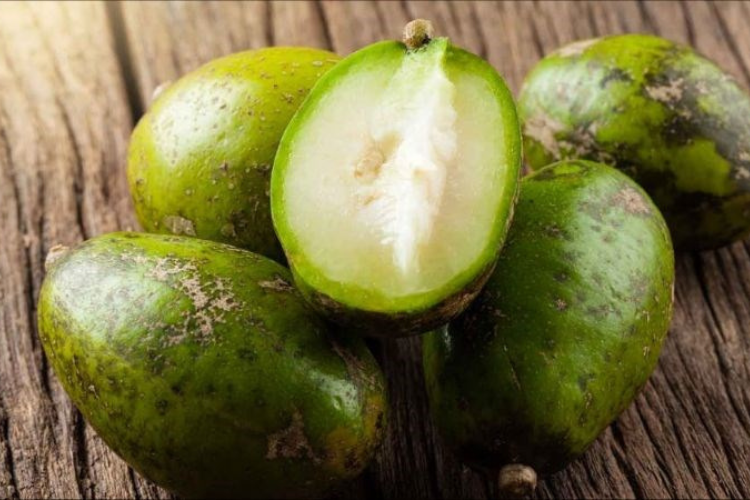 Cóc là loại quả chứa khá ít calo, đặc biệt là cóc xanh