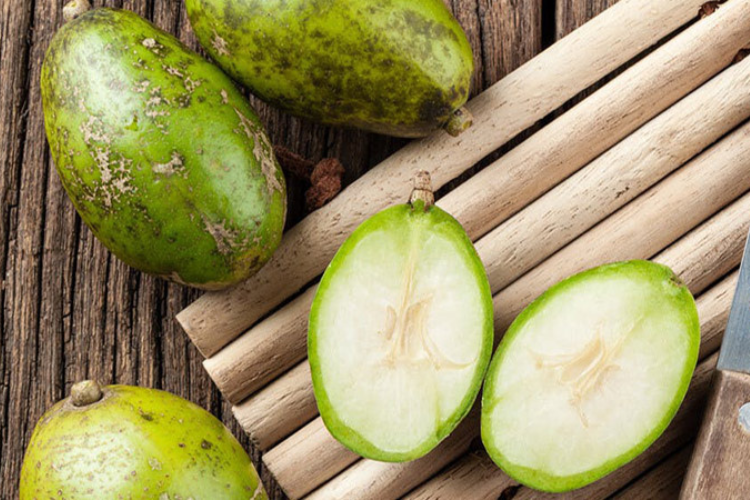 Cóc rất phù hợp cho những ai đang muốn giảm cân do lượng calo ít, nhưng chỉ nên ăn một lượng vừa đủ mỗi ngày