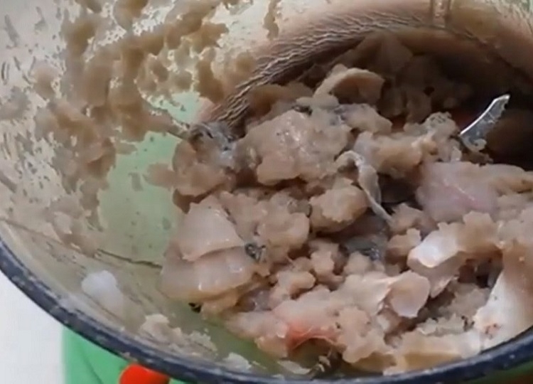 Xay nhuyễn thịt cá