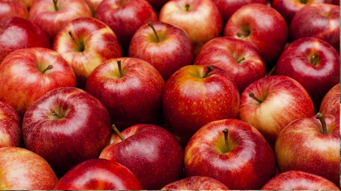 một trái táo bao nhiêu calo