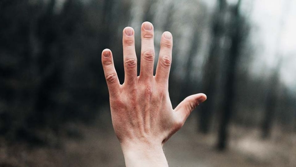 Tìm hiểu tên gọi của các ngón tay 