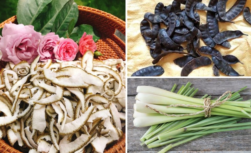 làm tinh dầu bưởi từ vỏ khô