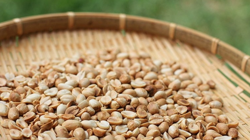 Rang đậu phộng vào thổi vỏ