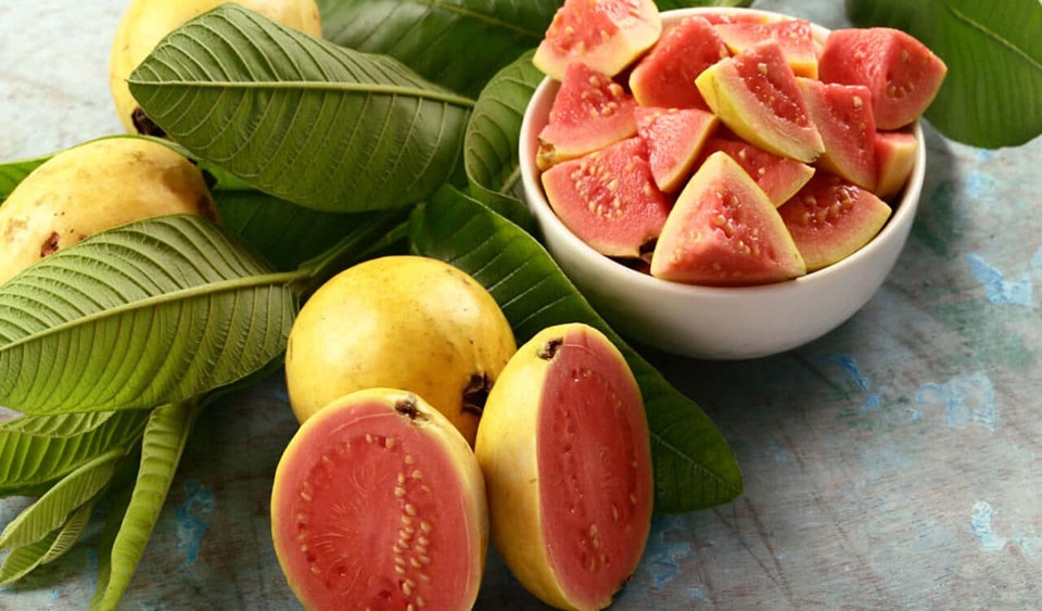 Quả ổi - Ảnh 05