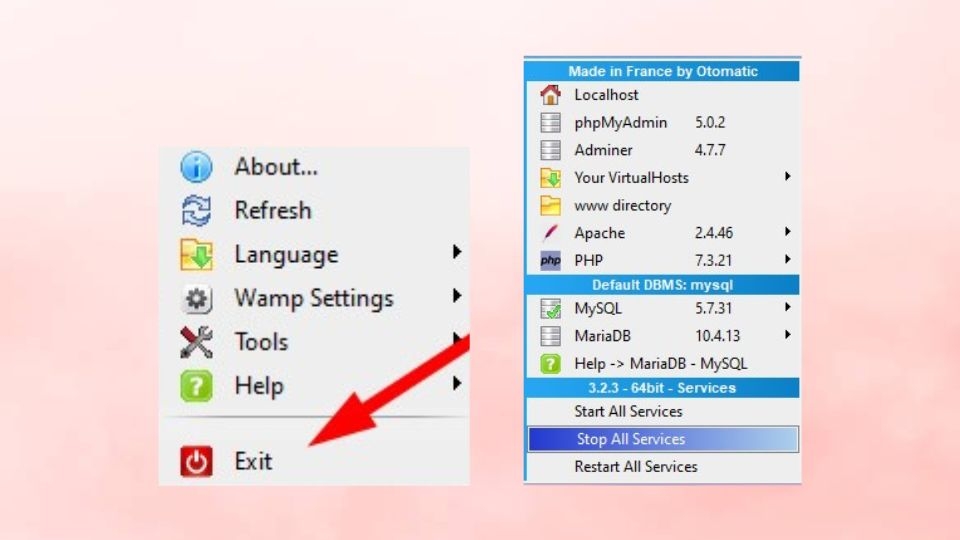 Dừng và thoát khỏi WAMPServer