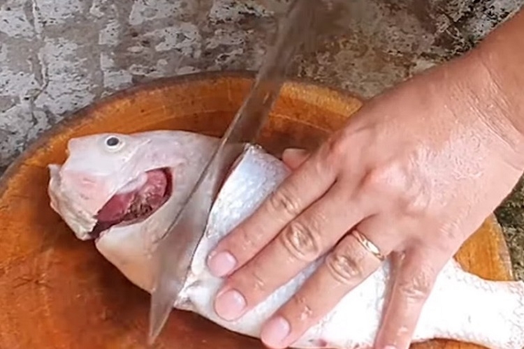 Sơ chế cá diêu hồng