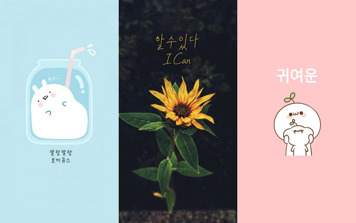 Hình nền cute có chữ hàn quốc
